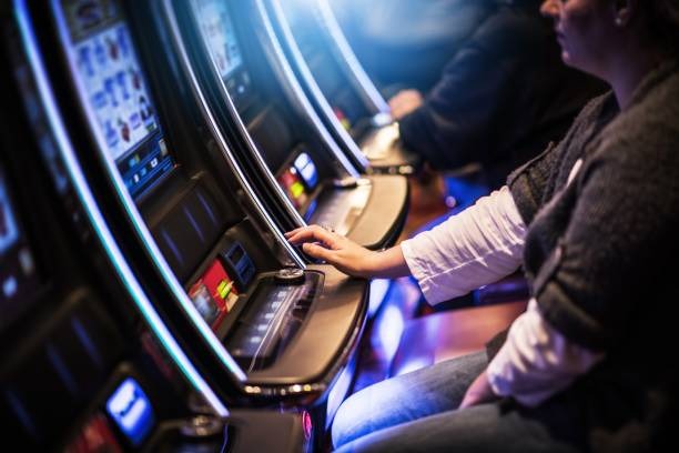 rogtoto link platform interface showing sportsbook and live-dealer options